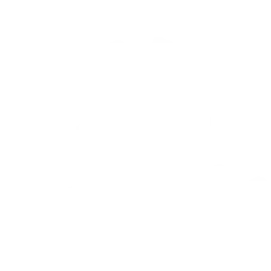 Perfect Service Serviço Perfeito